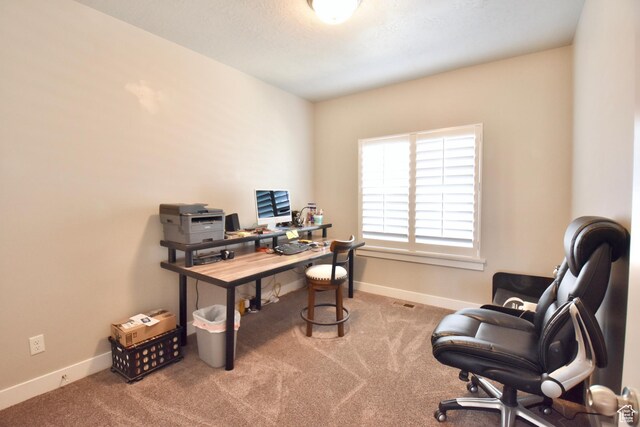 397 S Trejo Ridge Rd E, Grantsville, UT 84029 - office space featuring carpet floors