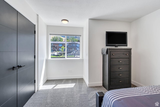 113 N 1400 E, Pleasant Grove, UT 84062 - carpeted bedroom with baseboards