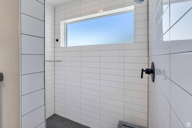 113 N 1400 E, Pleasant Grove, UT 84062 - full bath featuring a tile shower