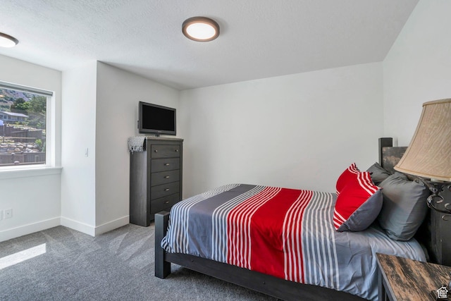 113 N 1400 E, Pleasant Grove, UT 84062 - bedroom featuring carpet floors and a textured ceiling