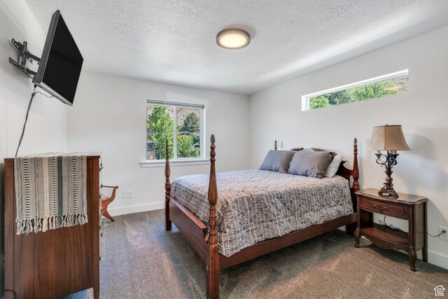 113 N 1400 E, Pleasant Grove, UT 84062 - carpeted bedroom featuring a textured ceiling