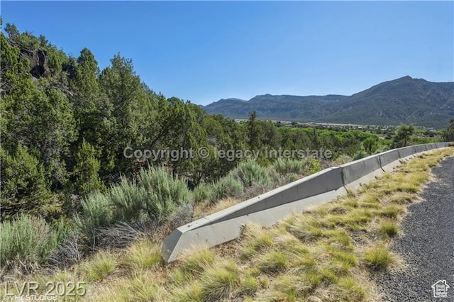 2951 S Juniper Way Unit 241, New Harmony, UT 84757
