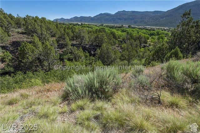 2951 S Juniper Way Unit 241, New Harmony, UT 84757