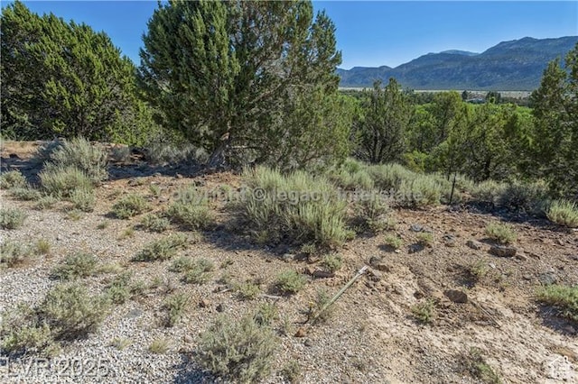 2951 S Juniper Way Unit 241, New Harmony, UT 84757