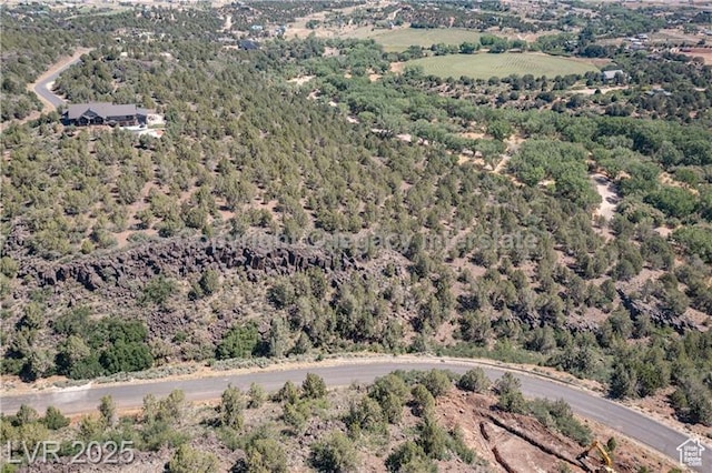 2951 S Juniper Way Unit 241, New Harmony, UT 84757