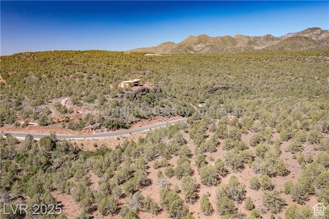 2951 S Juniper Way Unit 241, New Harmony, UT 84757