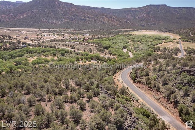 2951 S Juniper Way Unit 241, New Harmony, UT 84757
