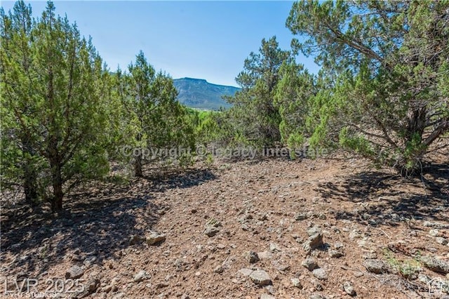 2951 S Juniper Way Unit 241, New Harmony, UT 84757