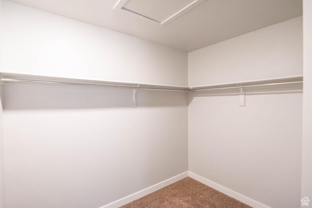 477 S 850 E, American Fork, UT 84003 - spacious closet with carpet flooring