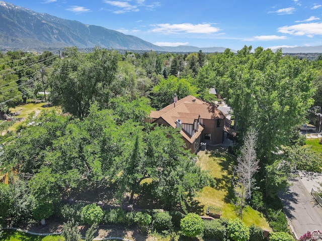 2673 E Toni Cir S, Cottonwood Heights, UT 84121 - view of subject property featuring mountains