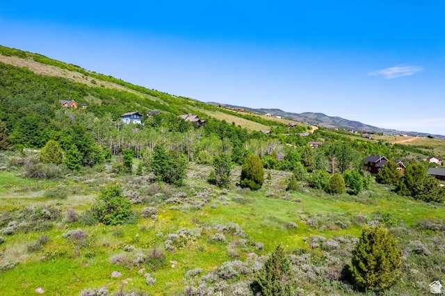 1347 N Broad Rd, Garden City, UT 84028