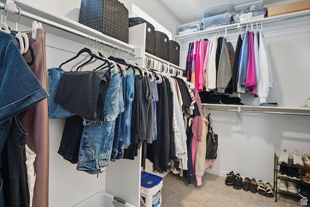98 E Stroll Ave Unit 809, Saratoga Springs, UT 84045 - walk in closet with carpet flooring