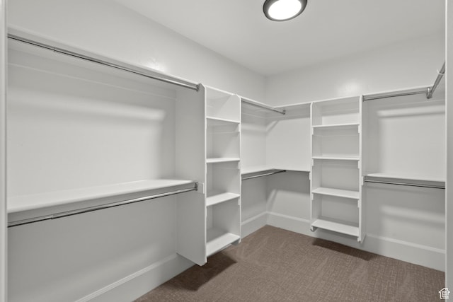 2209 E Viscaya Dr, Draper, UT 84020 - walk in closet featuring dark colored carpet