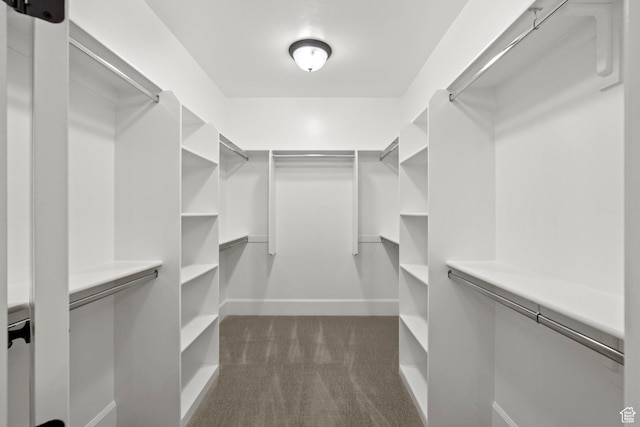 2209 E Viscaya Dr, Draper, UT 84020 - spacious closet featuring dark colored carpet