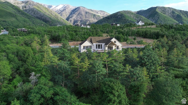 1087 S Loafer Dr, Woodland Hills, UT 84653 - mountain view featuring a forest