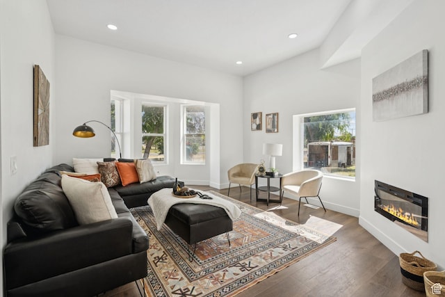 213 E 500 N, Nephi, UT 84648 - living area with wood finished floors, recessed lighting, and a glass covered fireplace