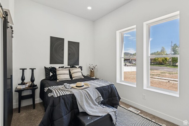 213 E 500 N, Nephi, UT 84648 - carpeted bedroom with a barn door and recessed lighting