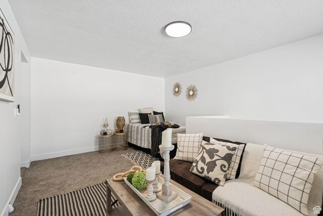 213 E 500 N, Nephi, UT 84648 - bedroom featuring carpet flooring and a textured ceiling
