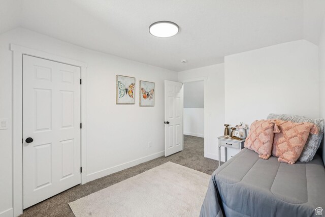 213 E 500 N, Nephi, UT 84648 - bedroom with carpet and vaulted ceiling