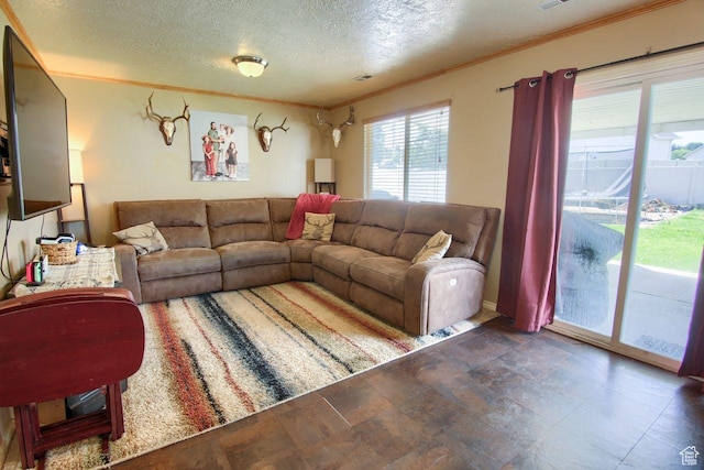 2595 W 4000 S, Roy, UT 84067 - living room with crown molding and a textured ceiling