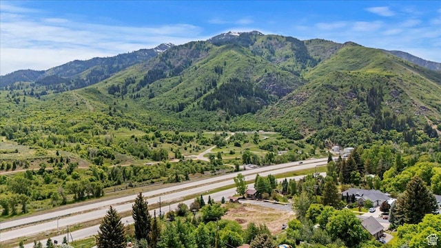 5630 N Robinson Ln, Mountain Green, UT 84050