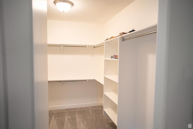 1060 N Ocotillo Dr, Washington, UT 84780 - spacious closet with carpet floors