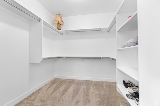 1060 N Ocotillo Dr, Washington, UT 84780 - walk in closet featuring carpet