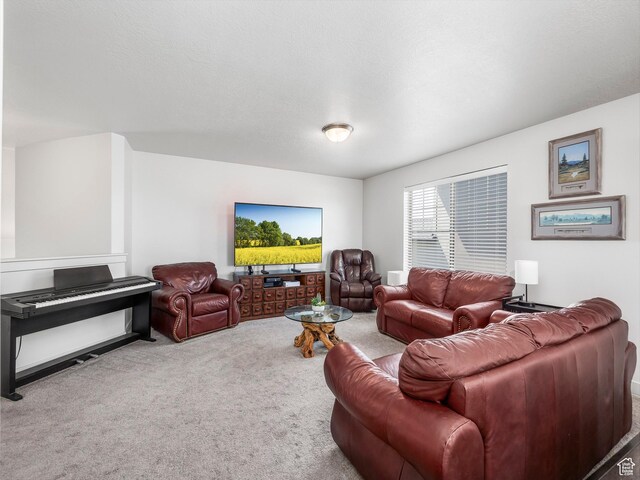 1110 W Osprey Dr, Stansbury Park, UT 84074 - photo 7