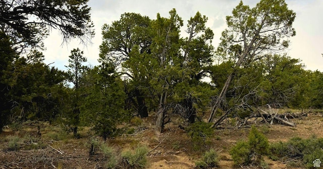 Unit 12, Duchesne, UT 84021