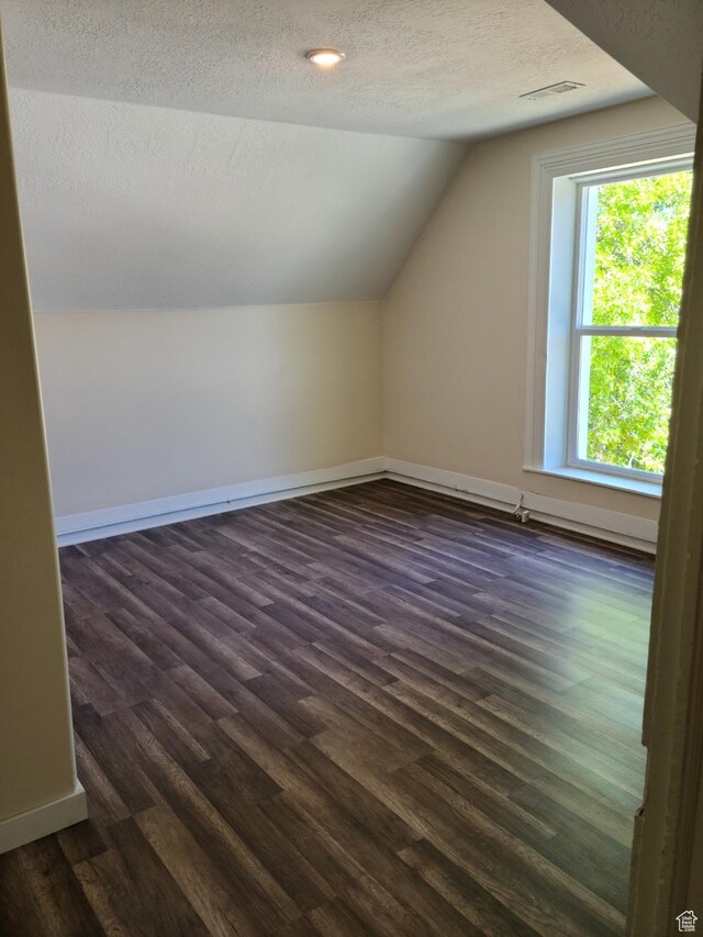 48 N Main St, Ephraim, UT 84627 - bonus room with vaulted ceiling, a textured ceiling, and dark wood-type flooring