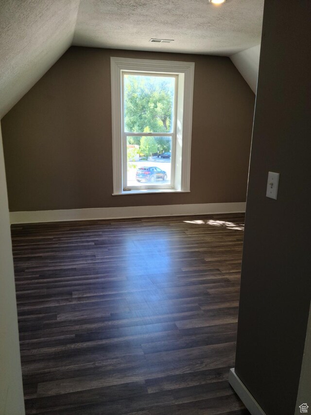 48 N Main St, Ephraim, UT 84627 - additional living space featuring a textured ceiling, lofted ceiling, and dark wood-style floors