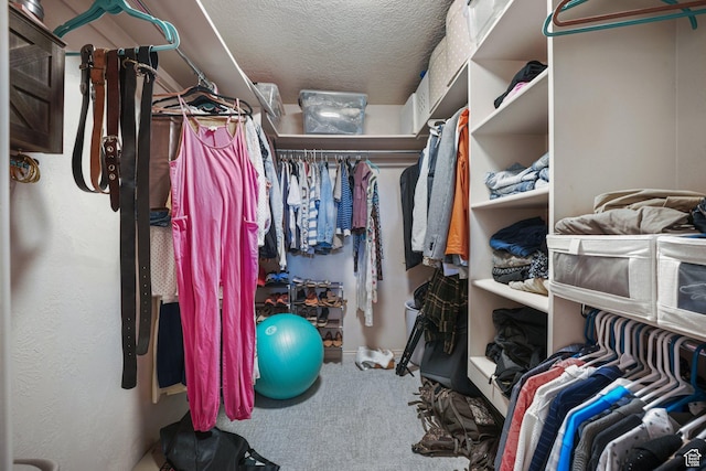 211 Greenfield Cir Unit 119, Heber City, UT 84032 - walk in closet featuring carpet floors