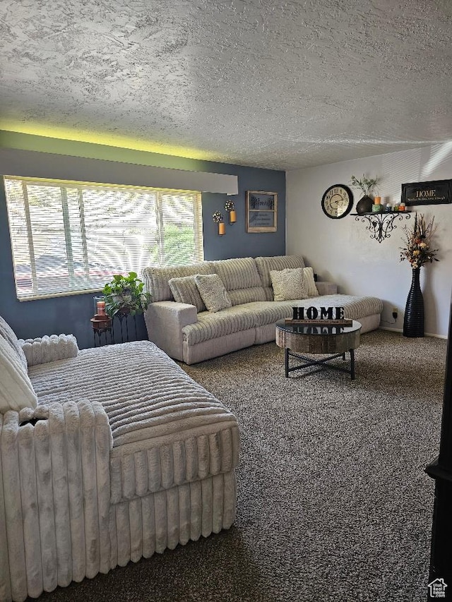 675 W 3300 N, Vernal, UT 84078 - living room featuring carpet floors and a textured ceiling