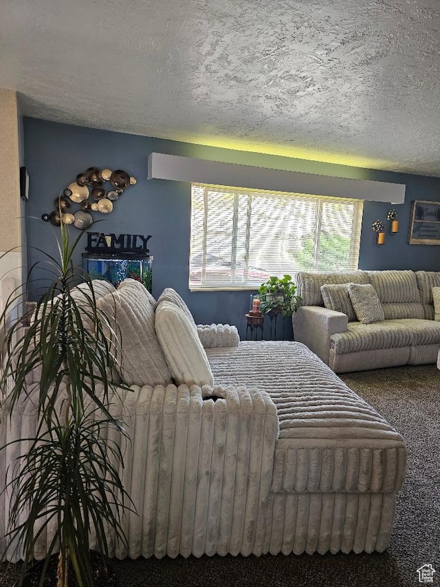 675 W 3300 N, Vernal, UT 84078 - bedroom featuring multiple windows, a textured ceiling, and carpet
