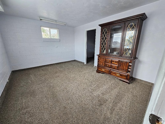 675 W 3300 N, Vernal, UT 84078 - unfurnished room featuring concrete block wall and carpet flooring
