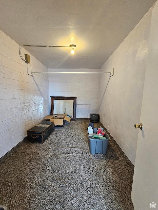 675 W 3300 N, Vernal, UT 84078 - below grade area featuring carpet flooring