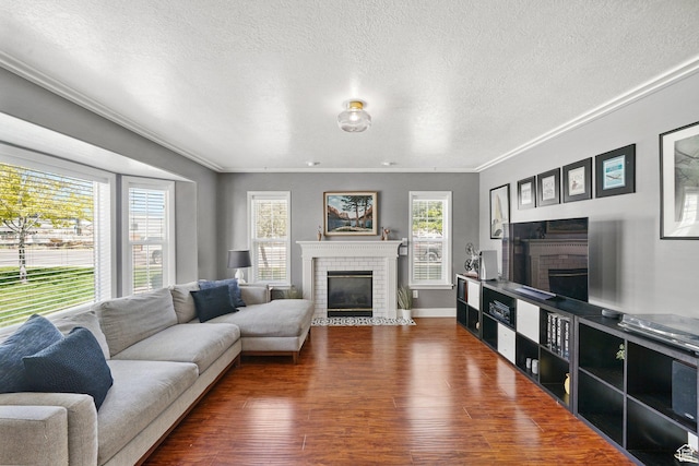 1332 S 1400 E, Provo, UT 84606 - living room featuring a fireplace, wood finished floors, crown molding, and a textured ceiling