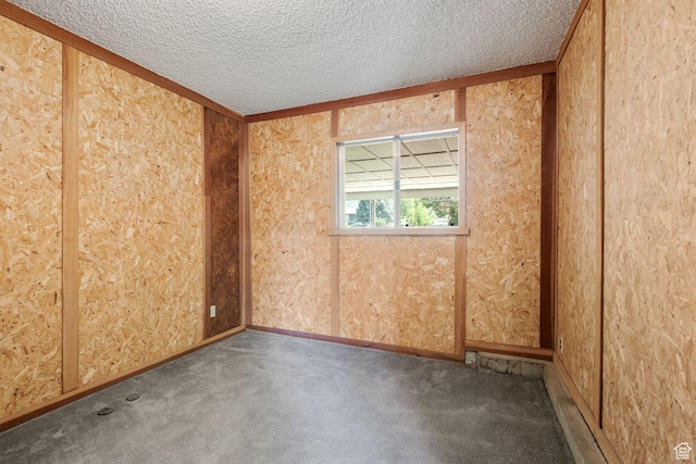 222 S 800 E, Alpine, UT 84004 - unfurnished room featuring carpet floors and a textured ceiling
