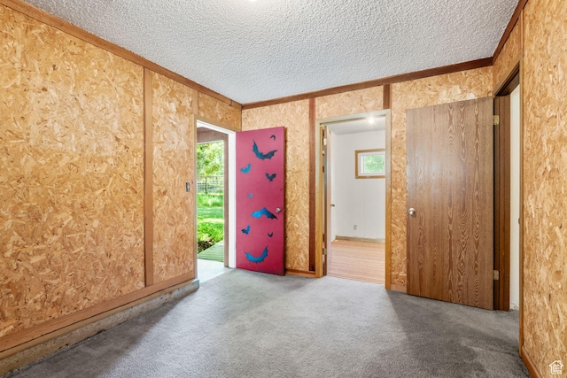 222 S 800 E, Alpine, UT 84004 - carpeted spare room featuring a textured ceiling and crown molding