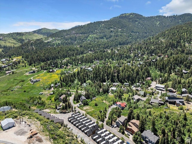 435 Aspen Dr Unit 8, Park City, UT 84098 - view of property location featuring a forest and mountains
