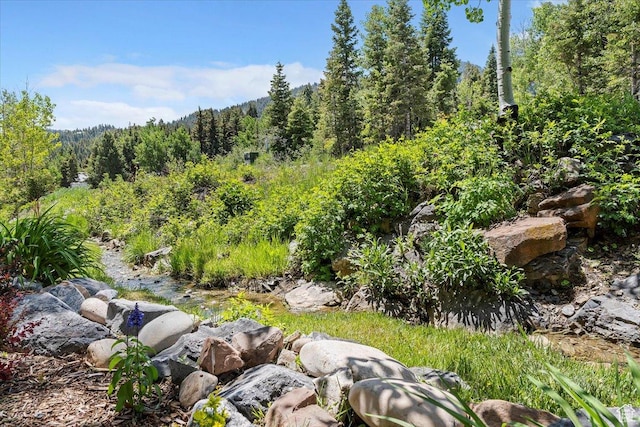 435 Aspen Dr Unit 8, Park City, UT 84098 - view of yard featuring a view of trees