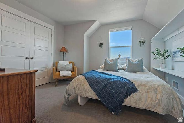 735 W Horizon Dr, Lehi, UT 84043 - bedroom with lofted ceiling and a closet