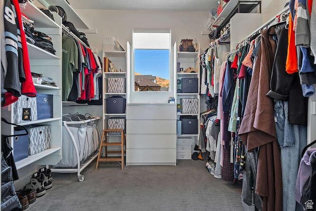 735 W Horizon Dr, Lehi, UT 84043 - walk in closet with carpet floors