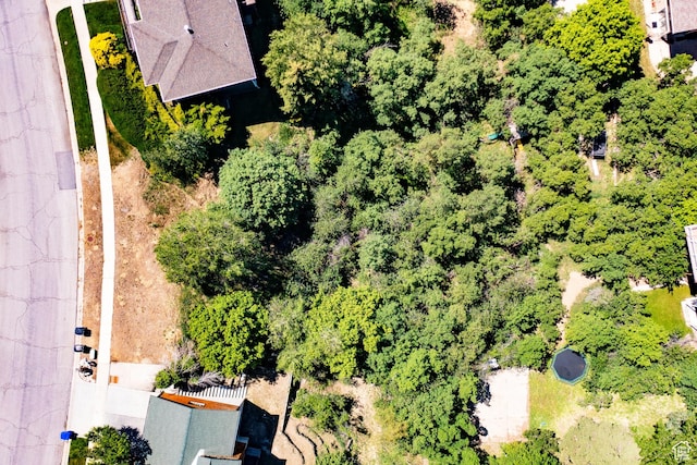 831 E San Simeon Way, Bountiful, UT 84010 - photo 2