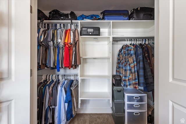 7982 N Bristlecone Rd, Eagle Mountain, UT 84005 - view of closet