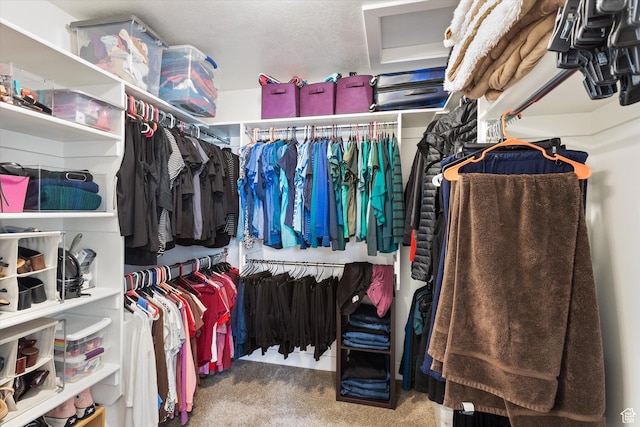 7982 N Bristlecone Rd, Eagle Mountain, UT 84005 - spacious closet with carpet flooring