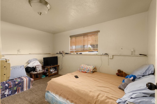 577 W 400 S, Hurricane, UT 84737 - bedroom with carpet