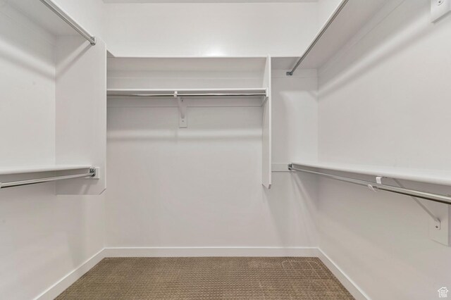 1298 E Salt Creek Peak, Eagle Mountain, UT 84005 - view of spacious closet