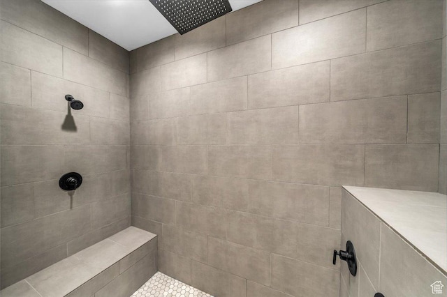 992 S Mulberry Dr, Toquerville, UT 84774 - bathroom featuring tiled shower