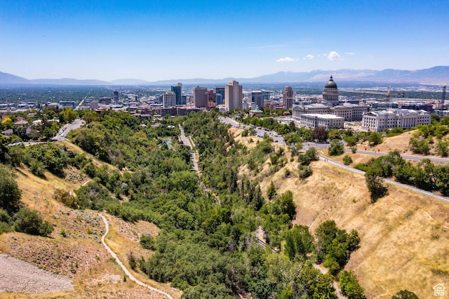 369 E 9th Ave, Salt Lake City, UT 84103 - view of urban area featuring a mountain backdrop